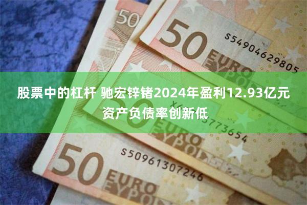 股票中的杠杆 驰宏锌锗2024年盈利12.93亿元 资产负债率创新低