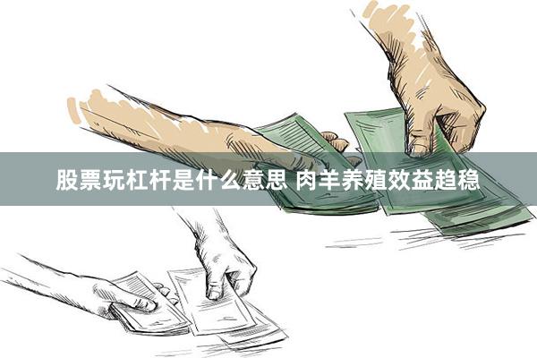 股票玩杠杆是什么意思 肉羊养殖效益趋稳