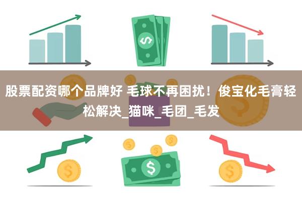 股票配资哪个品牌好 毛球不再困扰！俊宝化毛膏轻松解决_猫咪_毛团_毛发