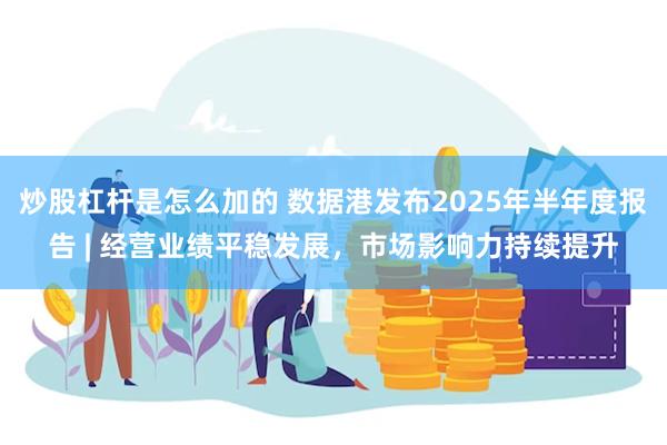 炒股杠杆是怎么加的 数据港发布2025年半年度报告 | 经营业绩平稳发展，市场影响力持续提升