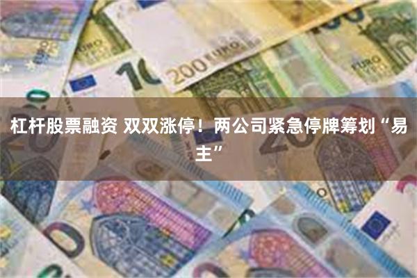 杠杆股票融资 双双涨停!两公司紧急停牌筹划“易主”